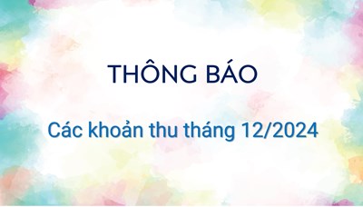 Các khoản thu tháng 12/2024